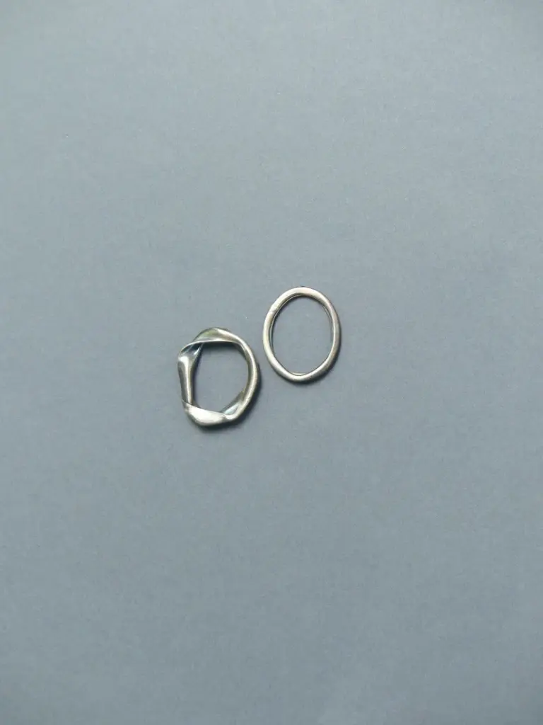 FREE Earrings